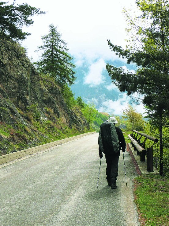 80f25053-d008-4c88-92a7-070c5802df93